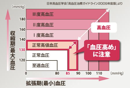 日本高血圧学会「高血圧治療ガイドライン2009年版」